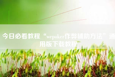 今日必看教程“wepoker作弊辅助方法	”通用版下载教程