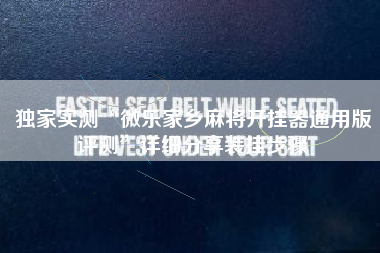 独家实测“微乐家乡麻将开挂器通用版评测	”详细分享装挂步骤