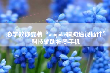 必学教你安装“waapoke辅助透视插件	”科技辅助神器手机