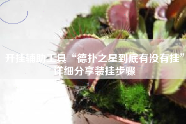 开挂辅助工具“德扑之星到底有没有挂”详细分享装挂步骤