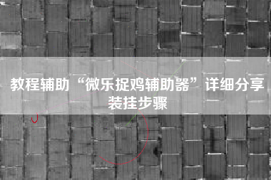 教程辅助“微乐捉鸡辅助器”详细分享装挂步骤