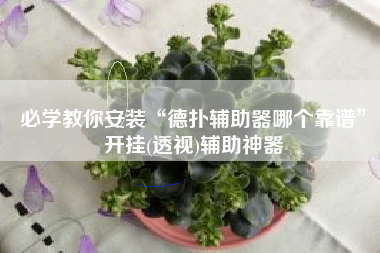 必学教你安装“德扑辅助器哪个靠谱”开挂(透视)辅助神器