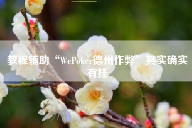 教程辅助“WePoker德州作弊”其实确实有挂
