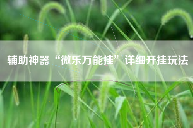 辅助神器“微乐万能挂	”详细开挂玩法