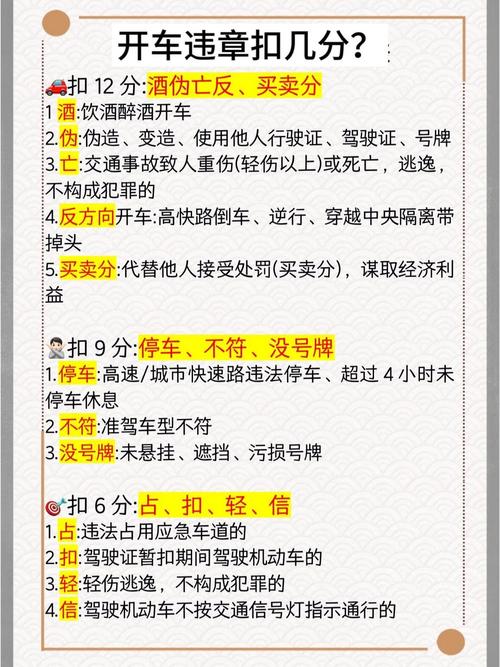 电子眼违章查询入口/电子眼交通违章处理流程