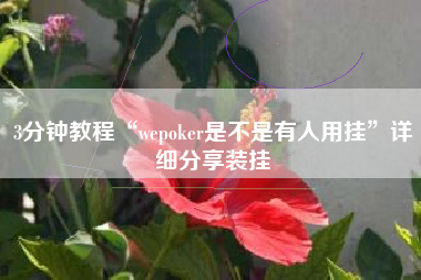 3分钟教程“wepoker是不是有人用挂”详细分享装挂