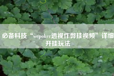 必备科技“wepoker透视作弊挂视频”详细开挂玩法