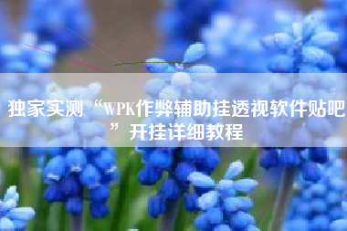 独家实测“WPK作弊辅助挂透视软件贴吧”开挂详细教程