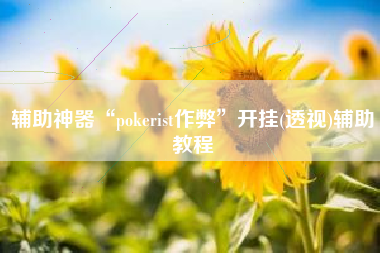 辅助神器“pokerist作弊”开挂(透视)辅助教程