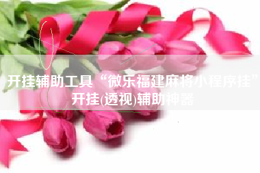 开挂辅助工具“微乐福建麻将小程序挂”开挂(透视)辅助神器