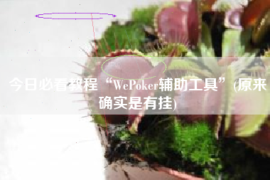 今日必看教程“WePoker辅助工具”(原来确实是有挂)