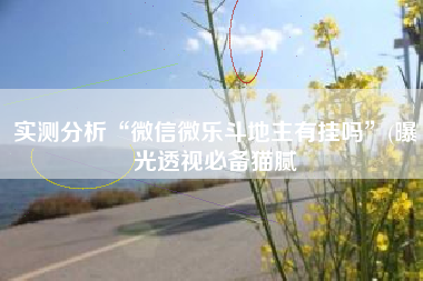 实测分析“微信微乐斗地主有挂吗	”(曝光透视必备猫腻