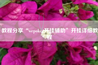 教程分享“wepoker开挂辅助”开挂详细教程