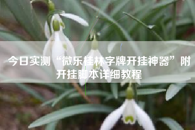 今日实测“微乐桂林字牌开挂神器	”附开挂脚本详细教程