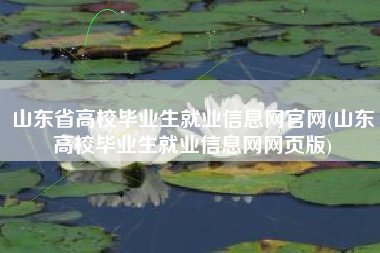 山东省高校毕业生就业信息网官网(山东高校毕业生就业信息网网页版) 山东省高校毕业生就业信息网官网(山东高校毕业生就业信息网网页版)