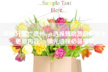 教程分享“德州wpk透视辅助器最新版本更新内容”(曝光透视必备猫腻