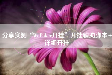 分享实测“WePoker开挂”开挂辅助脚本+详细开挂