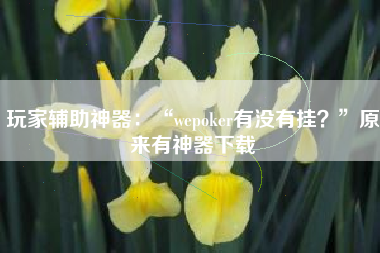 玩家辅助神器：“wepoker有没有挂？	”原来有神器下载