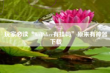 玩家必读“WePoker有挂吗	”原来有神器下载