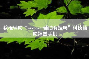 教程辅助“we-poker辅助有挂吗”科技辅助神器手机