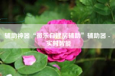 辅助神器“微乐自建房辅助”辅助器 - 实时智能