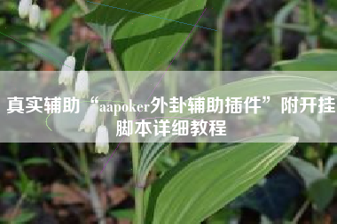 真实辅助“aapoker外卦辅助插件”附开挂脚本详细教程
