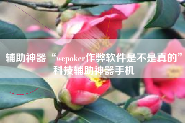 辅助神器“wepoker作弊软件是不是真的	”科技辅助神器手机