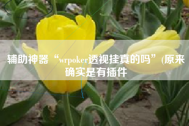 辅助神器“wrpoker透视挂真的吗	”(原来确实是有插件