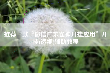 推荐一款“微信广东雀神开挂应用	”开挂(透视)辅助教程