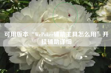 可用版本“WePoker辅助工具怎么用”开挂辅助详细