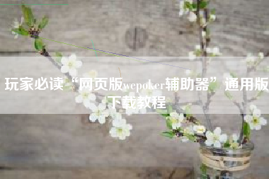 玩家必读“网页版wepoker辅助器”通用版下载教程