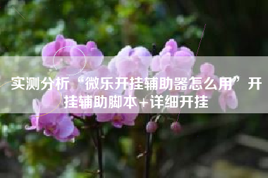 实测分析“微乐开挂辅助器怎么用”开挂辅助脚本+详细开挂