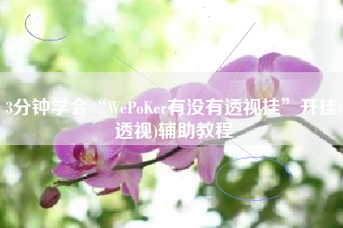 3分钟学会“WePoKer有没有透视挂”开挂(透视)辅助教程