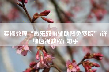 实操教程“微乐双扣辅助器免费版”(详细透视教程)-知乎