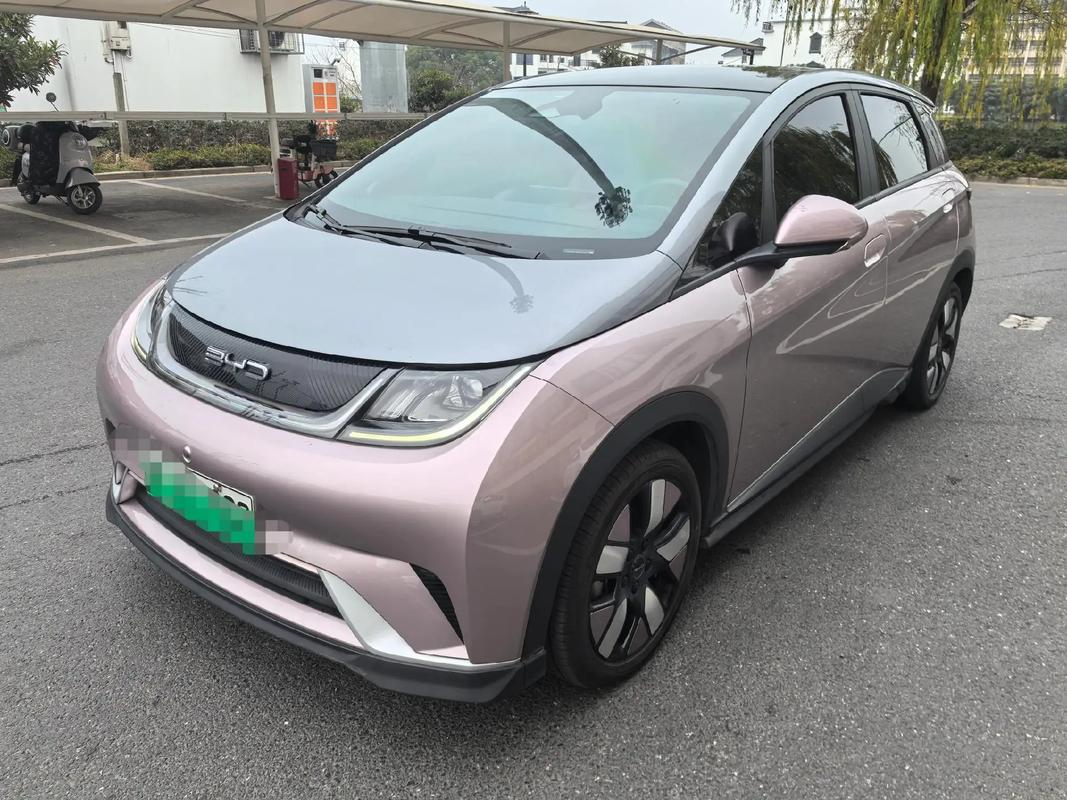 比亚迪海豚电动车官方报价(比亚迪海豚电动车官方报价及图片)