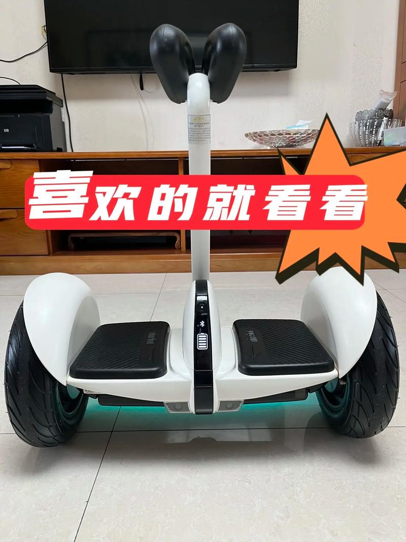 平衡车多少钱一辆/平衡车多少钱一辆图片